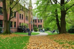 Жизнь в Ноттингеме: университеты, работа, природа — как соединить учебу, карьеру и городскую душу