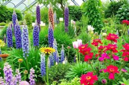 Британские ботанические сады: экскурсии и мастер‑классы