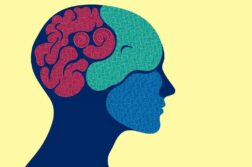 Образование в сфере психологии: практические программы, которые меняют профессию