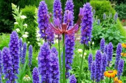 Британские ботанические сады: сезонные выставки и экскурсии