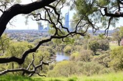 Жизнь в Перте: природа, история, работа