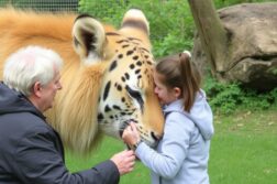Британские зоопарки: экскурсии и волонтёрство — как увидеть больше за один визит